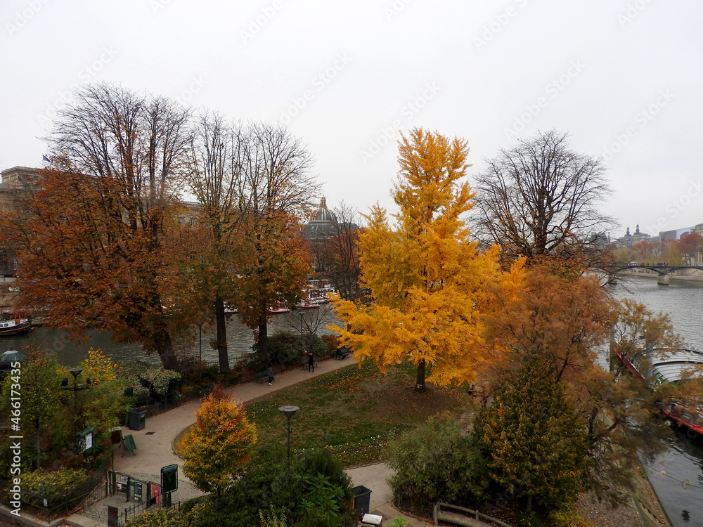 Fall landscape in Paris, yellow and leafless trees, narrow pedestrian way, river Seine and bridge on background, white sky