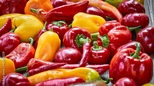Colorful peppers background on the wooden background
