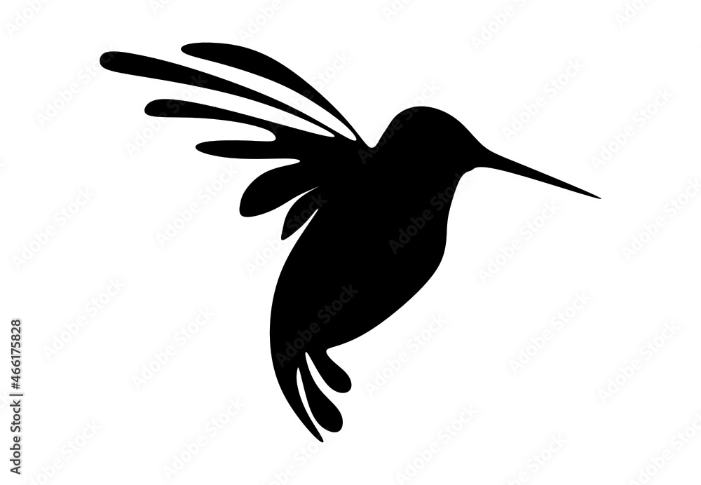 Obraz premium hummingbird silhouette on a branch
