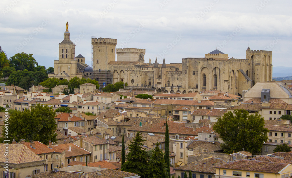 view of the city of avignon france