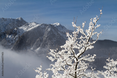 Wallpaper Mural Motagne savoie alpes en hiver Torontodigital.ca