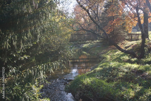 Leaves Turning Gold Orange and Red on Creekside with Wooden Walking Bridge