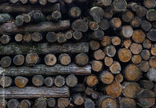 Obraz na płótnie
A stack of sawn firewood stacked in different directions w salonie