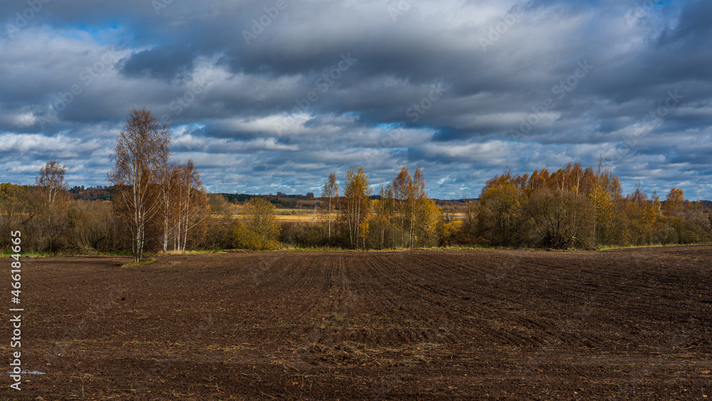 The autumn landscape is covered with a field and yellow-leaf trees.