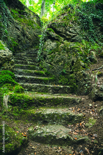 stone carved staircase in the forest