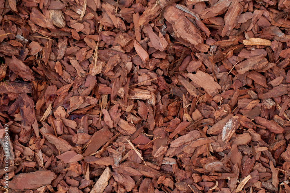 the texture of the filling for mulching brown plants in the form of tree bark the texture of the filling for mulching brown plants in the form of tree bark