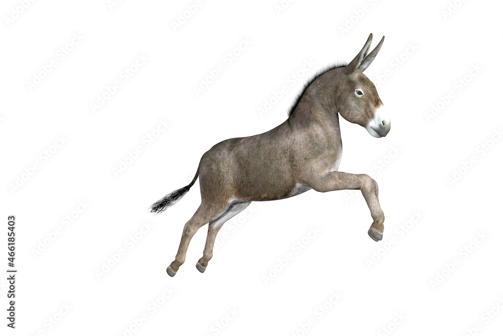 Photo-realistic illustration of the donkey with different poses and angles. 3D rendering illustration.
