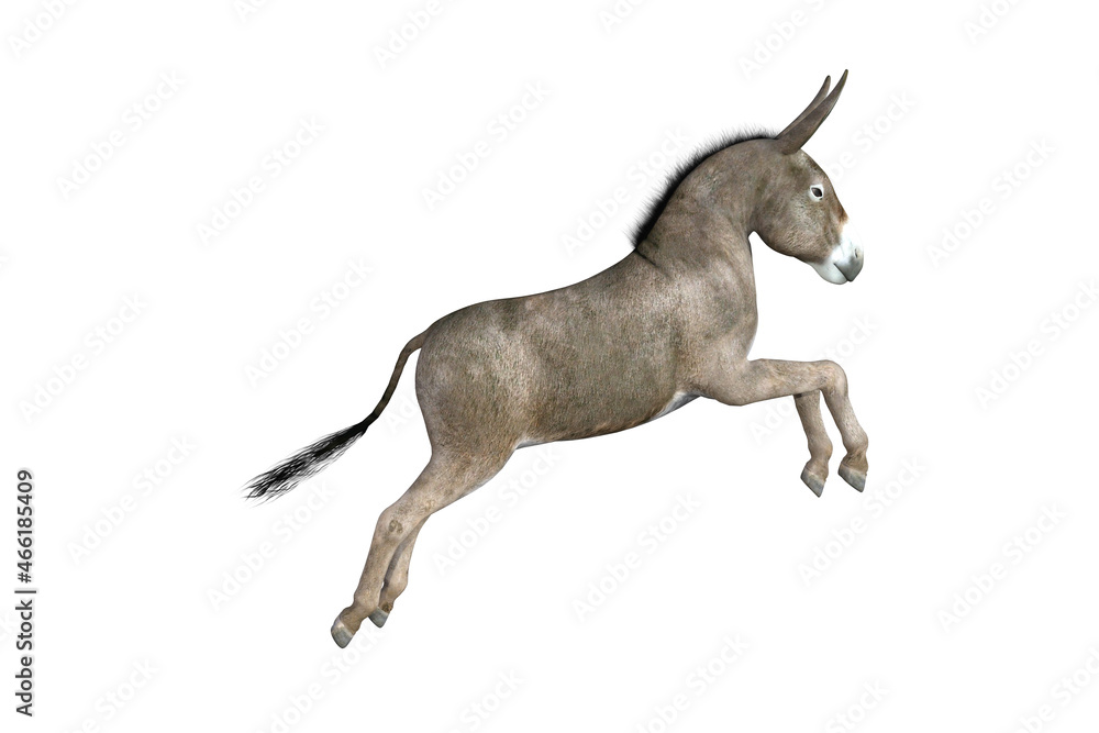 Fototapeta premium Photo-realistic illustration of the donkey with different poses and angles. 3D rendering illustration.
