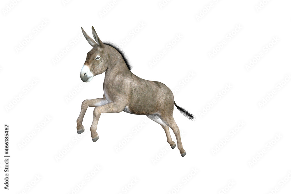 Fototapeta premium Photo-realistic illustration of the donkey with different poses and angles. 3D rendering illustration.