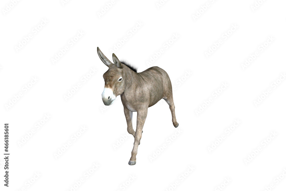 Photo-realistic illustration of the donkey with different poses and angles. 3D rendering illustration. Photo-realistic illustration of the donkey with different poses and angles. 3D rendering illustration.