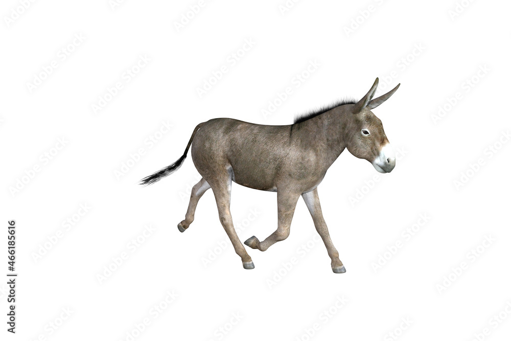 Photo-realistic illustration of the donkey with different poses and angles. 3D rendering illustration. Photo-realistic illustration of the donkey with different poses and angles. 3D rendering illustration.