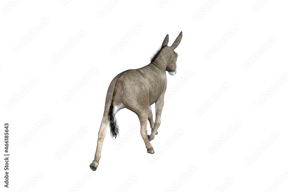 Fototapeta premium Photo-realistic illustration of the donkey with different poses and angles. 3D rendering illustration.