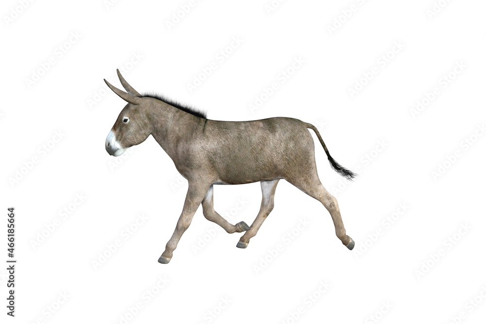 Obraz premium Photo-realistic illustration of the donkey with different poses and angles. 3D rendering illustration.