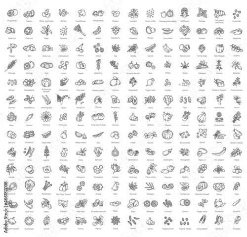 Big vector collection. Vegetables and fruit thin line icon set. Ingredients