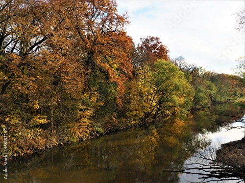 jesień, rzeka, drzewa, liście