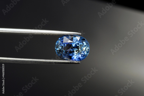 Ceylon sapphire gemstone. Natural oval faceted  cornflower blue gem  flawless  transparent precious stone setting for making jewelry. Valued  over 3 carat big sample. Sry-Lanka mined. In tweezers.