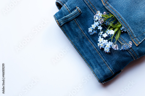 blue small flowers in the jeans pocket in the upper right corner on a white background with space for text
