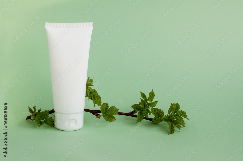 white cream tube with a blackberry sprig with green leaves on a light green background with space for text white cream tube with a blackberry sprig with green leaves on a light green background with space for text