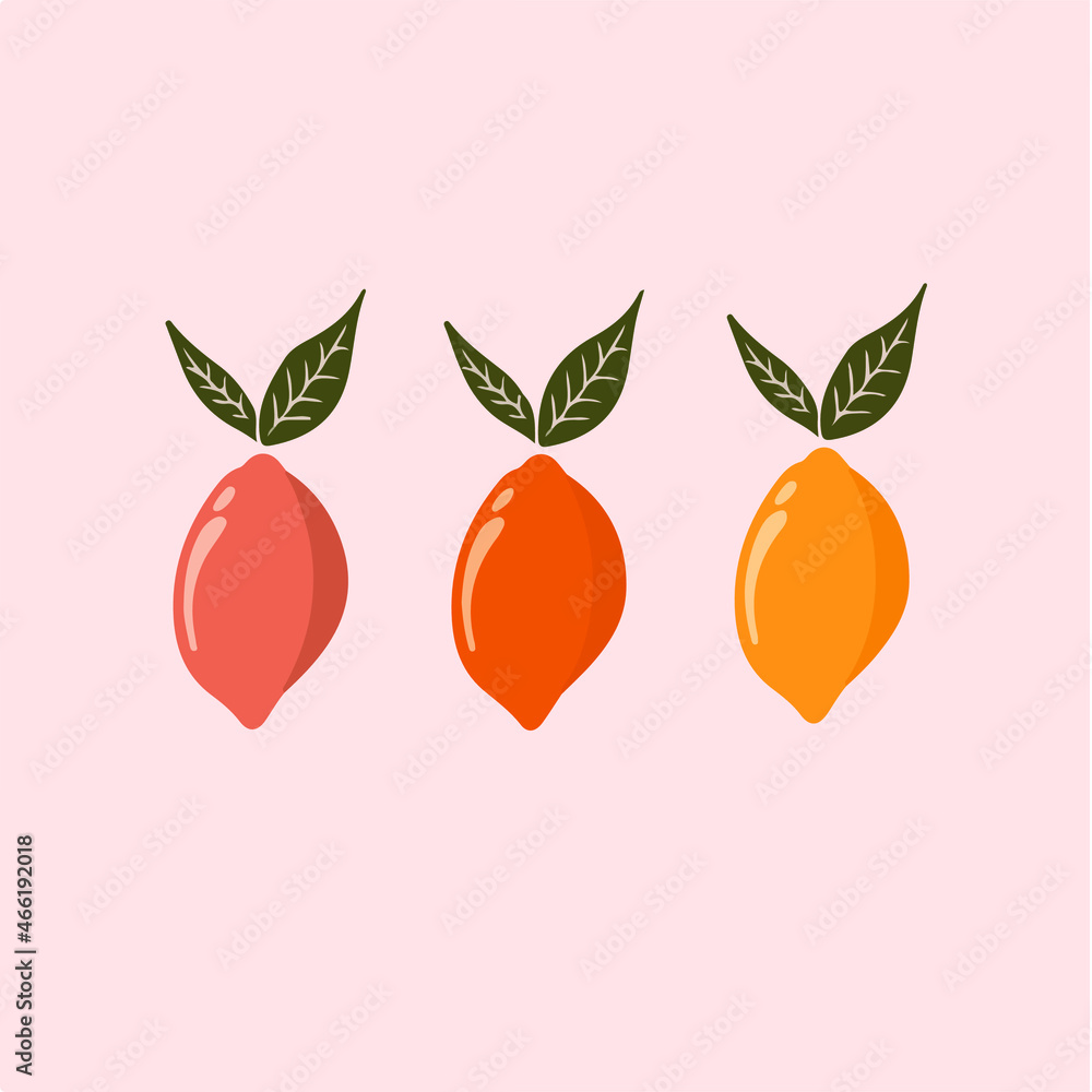Orange Symbol. Social Media Post. Fruit Vector Illustration.