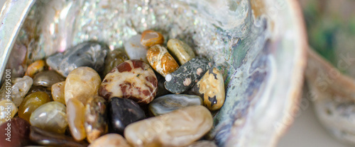 Fototapeta Naklejka Na Ścianę i Meble -  Banner of abalone shell 