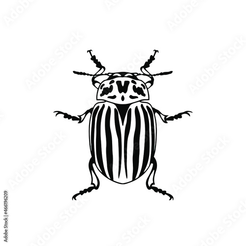 Beetle Logo Symbol. Stencil Design. Tattoo Vector Illustration.