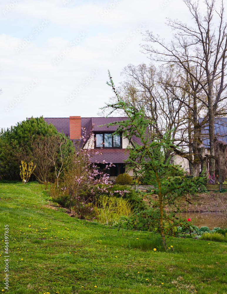 Fototapeta premium Decorative garden in the spring. The leaves of the trees bloom and ornamental shrubs begin to bloom.