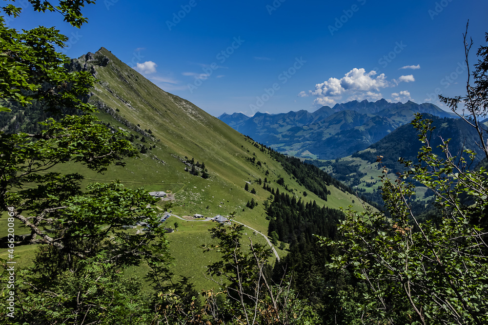 Obraz premium Picturesque views of the Alps from the pass Col de Jaman. The Col de Jaman (1,512 m) -a mountain pass in the western Swiss Alps. Canton of Vaud, Switzerland.