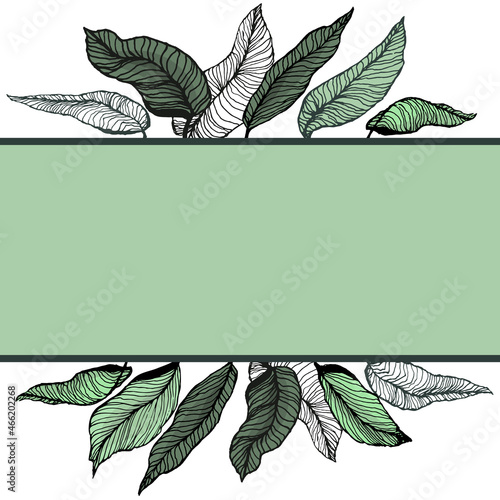 A frame with plants for an invitation to a party, a bachelorette party in the boho style. Vector illustration with tropical leaves.
