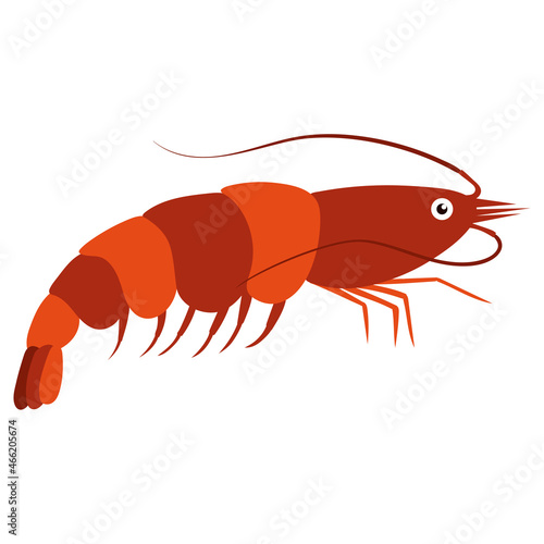 Beautiful cartoon illustration with colorful sea animals shrimp on white background for print design. Kid graphic. Sea underwater life. Vector isolated hand drawing.