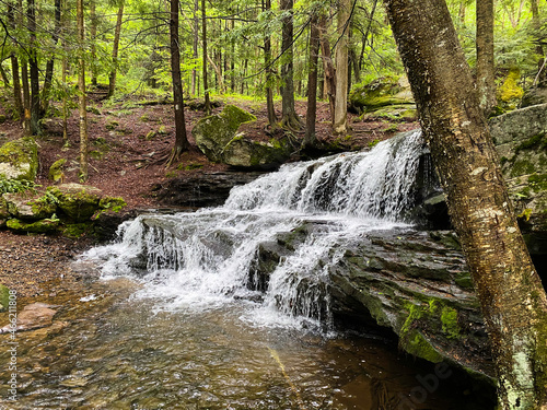 Fototapeta Naklejka Na Ścianę i Meble -  Waterfall in Allegheny National forest