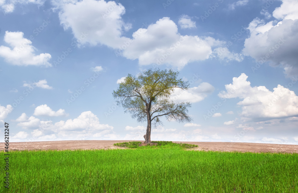 Fototapeta premium --------------------------- Загрузки завершены --------------------------- Все запланированные загрузки завершены. Вы можете отключить это уведомление в настройках программы. -------------------------