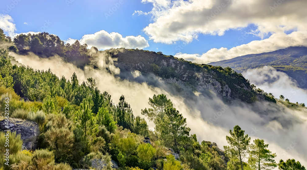 Cañones del Sil