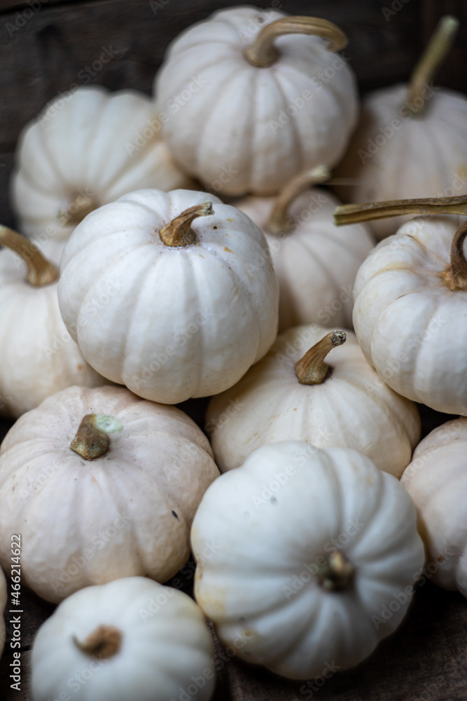 Rustic photos of decorative white pumpkins Rustic photos of decorative white pumpkins