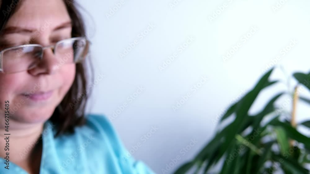 close-up of medical gloves on female hands, a doctor, a nurse preparing to vaccinate, treating patient's wound, concept of compulsory vaccination against coronavirus covid 19