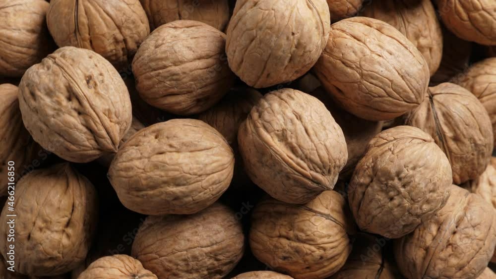 Whole Walnut closeup. Rotating nuts background, nobody Whole Walnut closeup. Rotating nuts background, nobody
