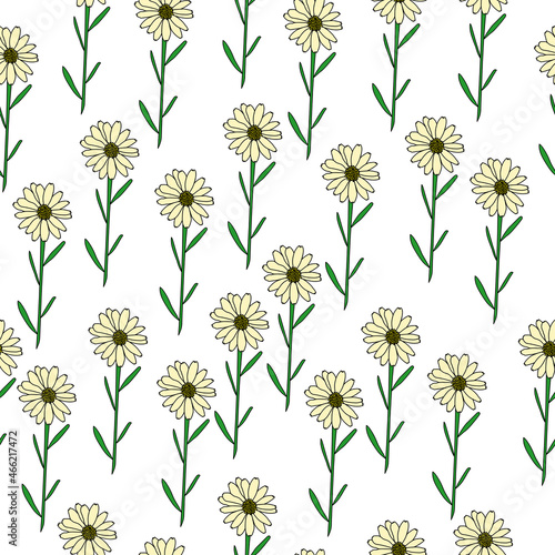 seamless pattern of delicate single daisies with thin leaves on a white background © SunnyColoring