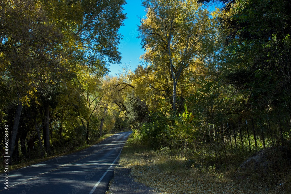 Autumn color along the scenic drive through New Mexico’s historic Mimbres River Valley