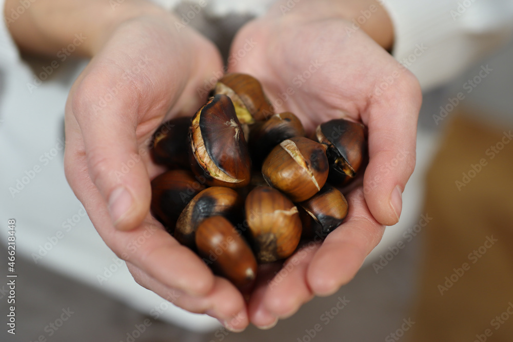 Female hands full with roasted chestnuts. Close up, selective focus, and copy space Female hands full with roasted chestnuts. Close up, selective focus, and copy space