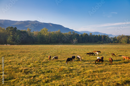 Cades Cove, The Great Smoky Mountains.
