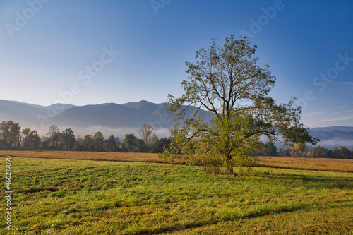 Cades Cove, The Great Smoky Mountains.