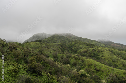 Scenic view along the Waihee Ridge Trail on a heavily overcast day  Maui  Hawaii 