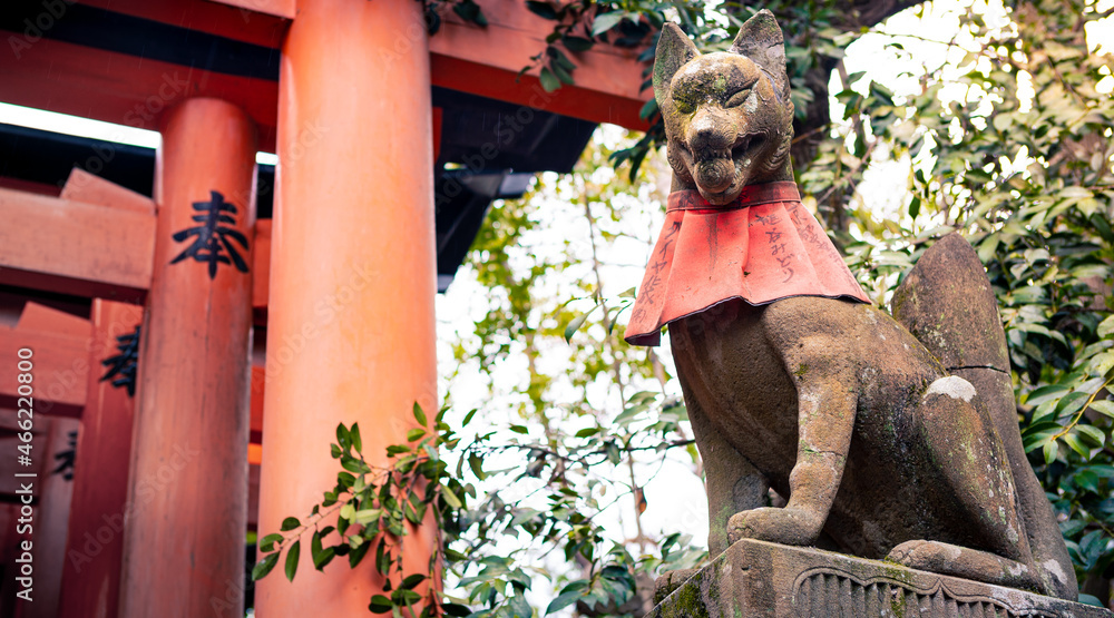 Kitsune japanese fox statue with red apron at famous Fushimi Inari Taisha shrine - obrazy, fototapety, plakaty 