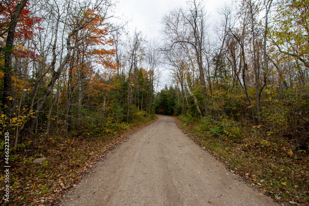 Obraz premium MacGregor Point Provincial Park in Fall