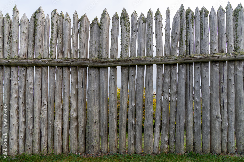 Fototapeta premium Tall stockade fence with green moss
