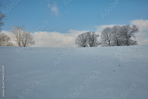 Winter Scene