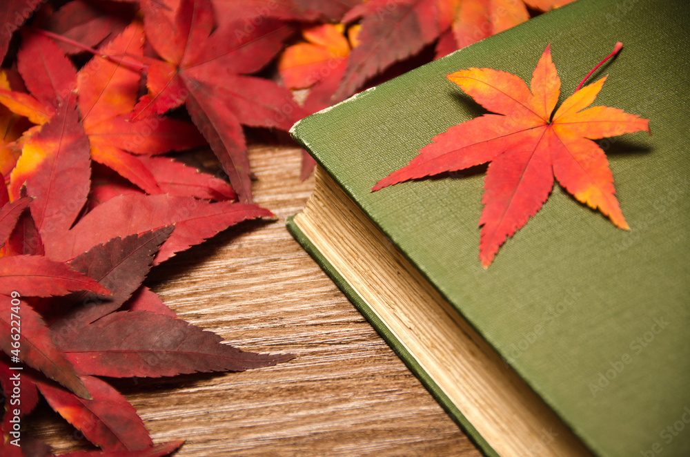 가을과 독서
