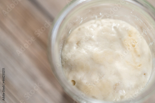 Sourdough starter