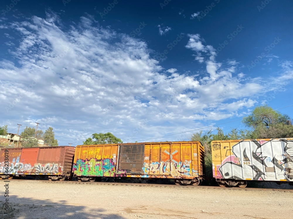 Train cars in the desert with graffiti