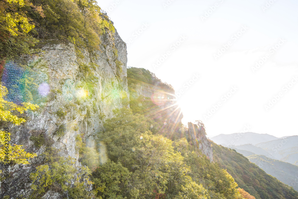 custom made wallpaper toronto digital눈부심