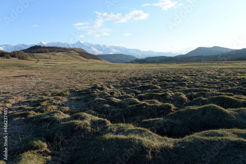 View of the North Chui mountain snow-covered ridge from the Kurai steppe. Gorny Altai, Kosh-Agachsky district, Russia photo